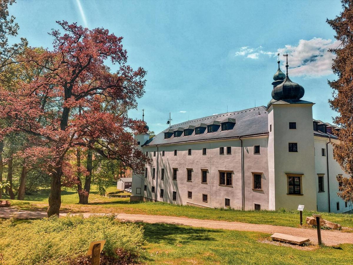 Zámek Třešť Hotel Exterior foto
