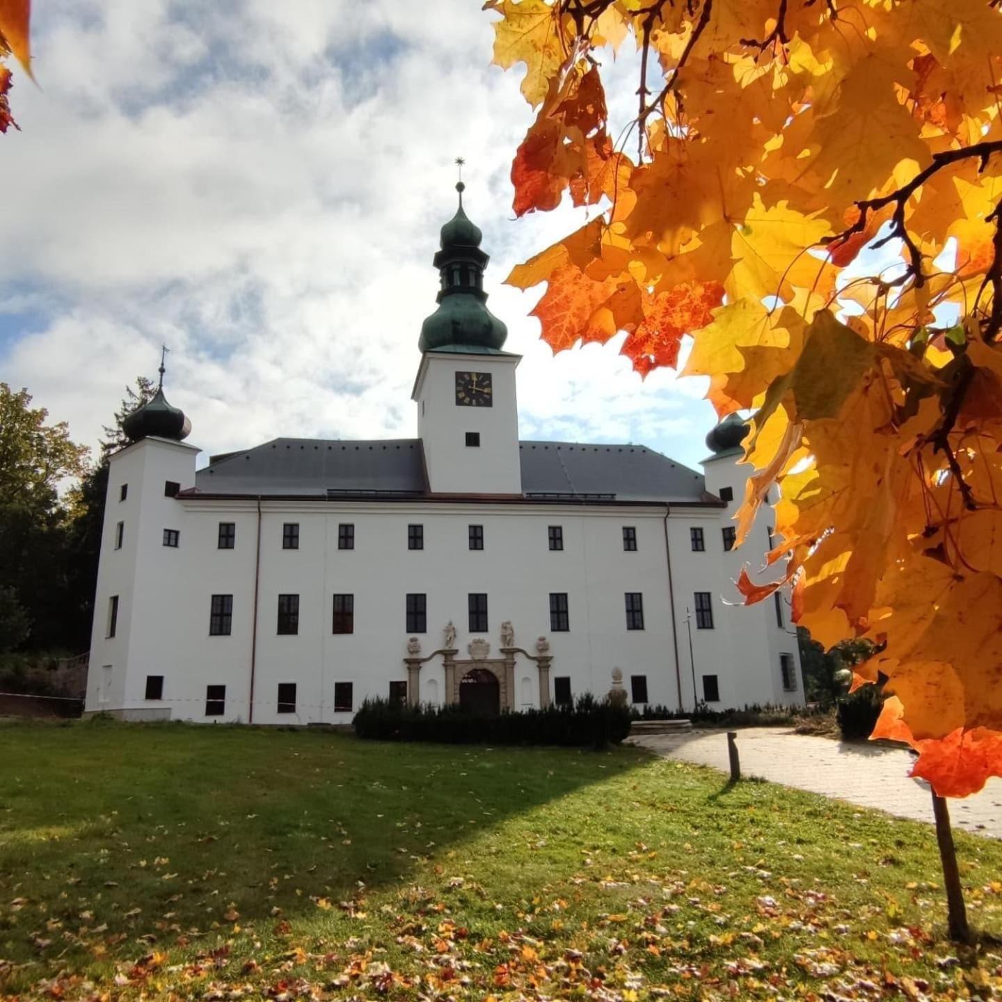 Zámek Třešť Hotel Exterior foto