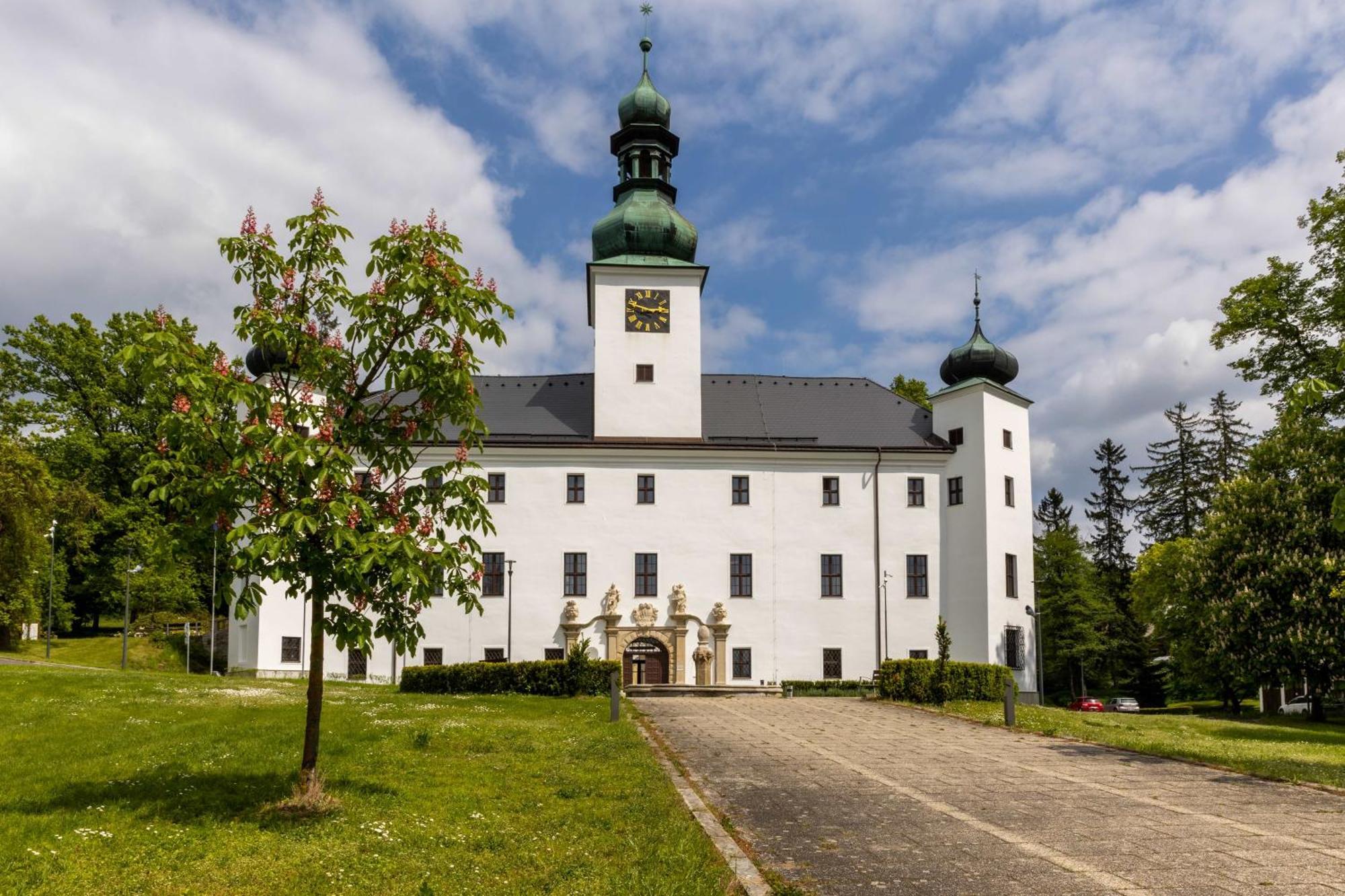 Zámek Třešť Hotel Exterior foto